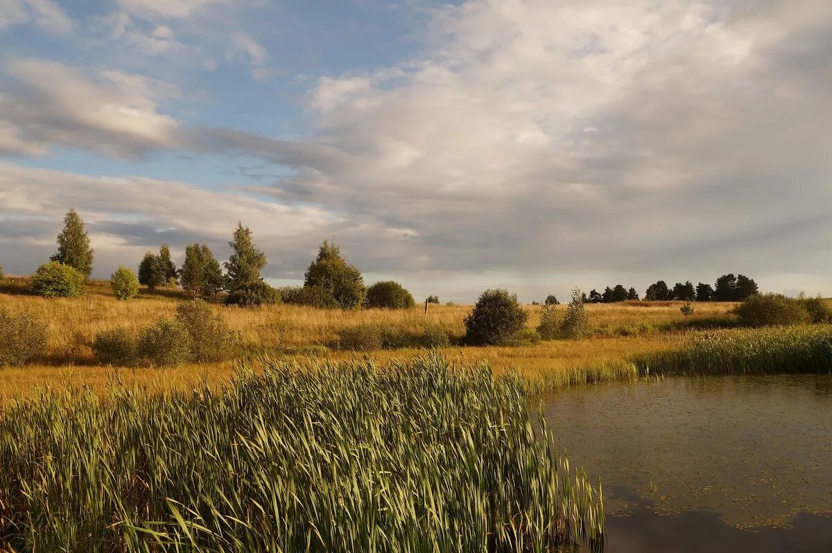 есенинская русь константиново. хаты в ризах. гой ты русь моя родная хаты в ризах образа. таруса петровский монастырь. хаты в ризах.