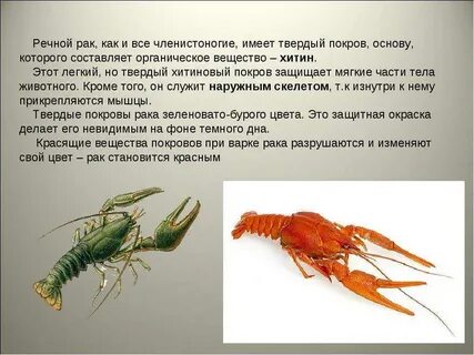 Как можно обнаружить рак