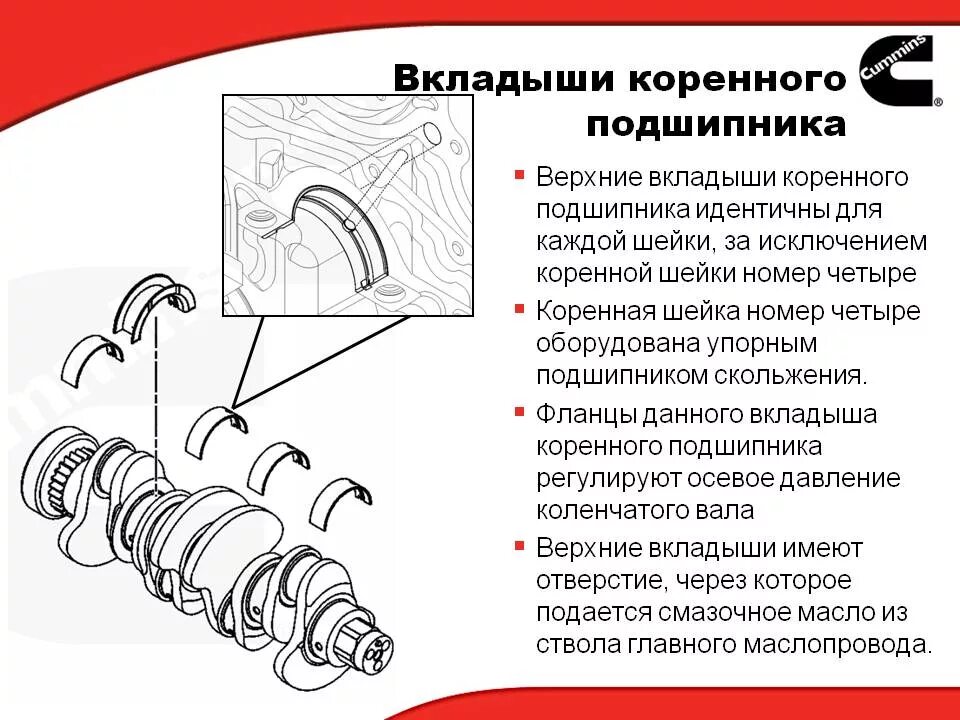 Группы вкладышей. Вкладыши коренных шеек коленчатого вала. Вкладыш коренной шейки коленчатого вала. Вкладыши шатунные коленчатого вала Форд Транзит 2.2. Шатунные подшипники коленчатого вала.