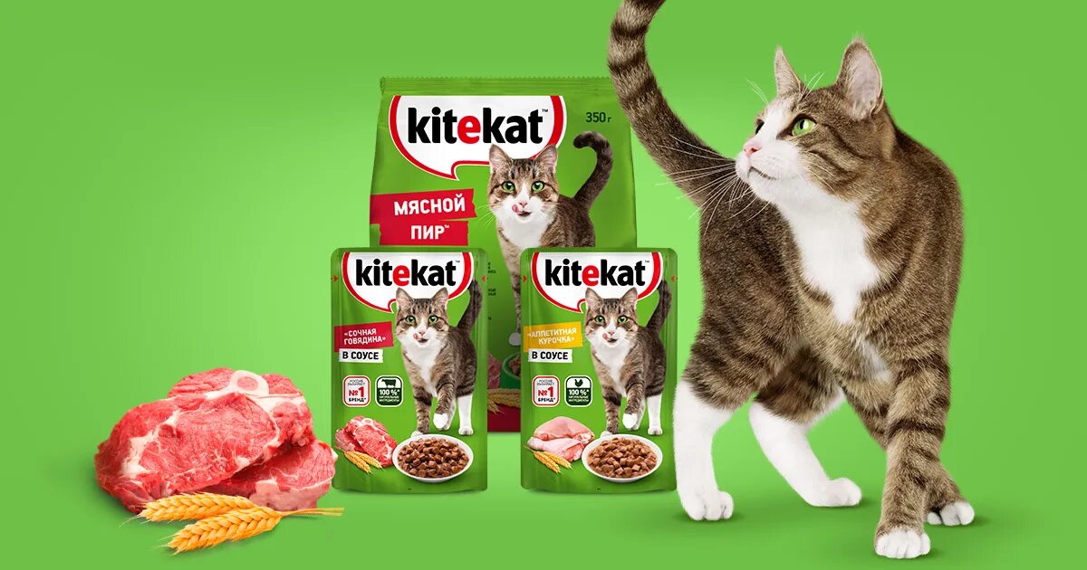 Купить китикет 15. Kitekat логотип. Китикет игрушка. Реклама корма для кошек Китекат. Kitekat "сочная.