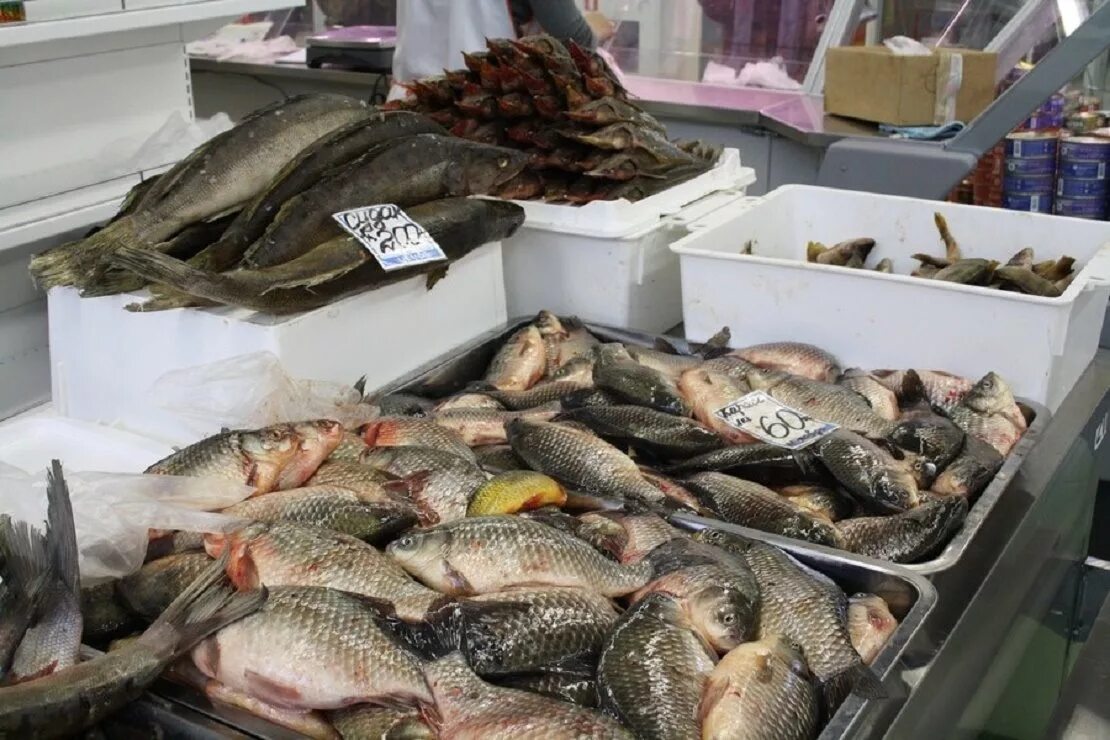 Рынок живая рыба. Речная рыба на прилавке. Живая рыба. Живая рыба в магазине. Рыб продаете.