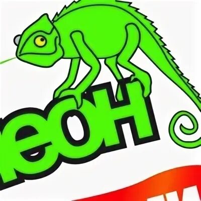 Фирма хамелеон