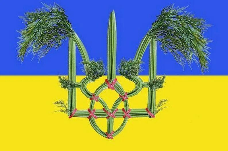 Укроп Украина. Укроп эмблема. Флаг укропов.