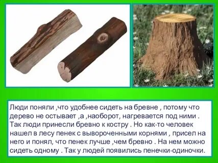 Поговорка бревно