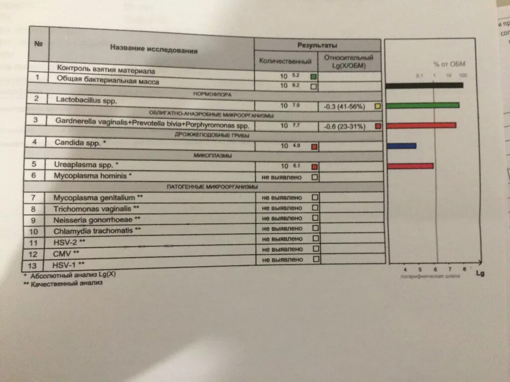 Расшифровка фемофлор 16 норма. Фемофлор скрининг норма. Норма анализа Фемофлор 12. Фемофлор скрин 13 норма таблица. Скрининг микрофлоры Фемофлор 13.