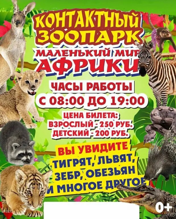 Грин выставка животных. Грин выставка животных