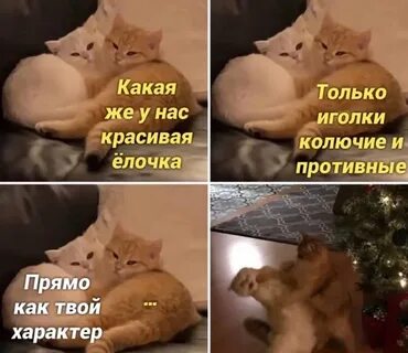 Доброе утро 1 января картинки прикольные