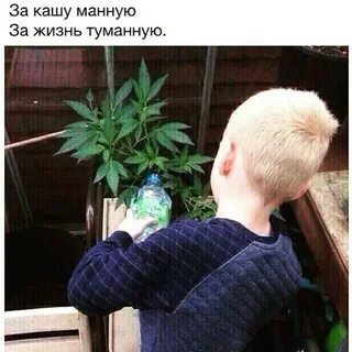 Песня я подарю тебе ганжа и научу