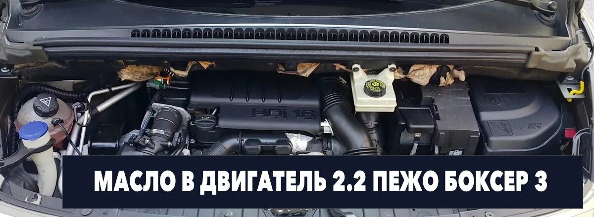 Масло Пежо боксер 2.2 дизель. Peugeot Boxer масло в ГУР. Масло для Пежо боксер 3 2.2 дизель. Двигатель Пежо боксер 3. Масло двигателя пежо боксер