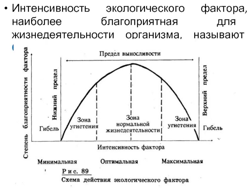 Как называется максимально возможное. Схема действия экологического фактора. Интенсивность жизнедеятельности. Интенсивность действия экологического фактора. Благоприятные факторы окружающей среды.