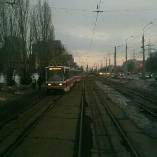 Фото барбошиной поляны