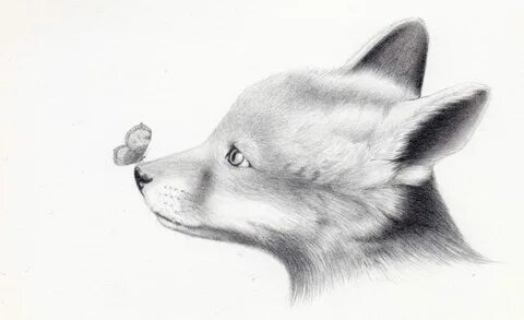 Рисунок питомца карандашом