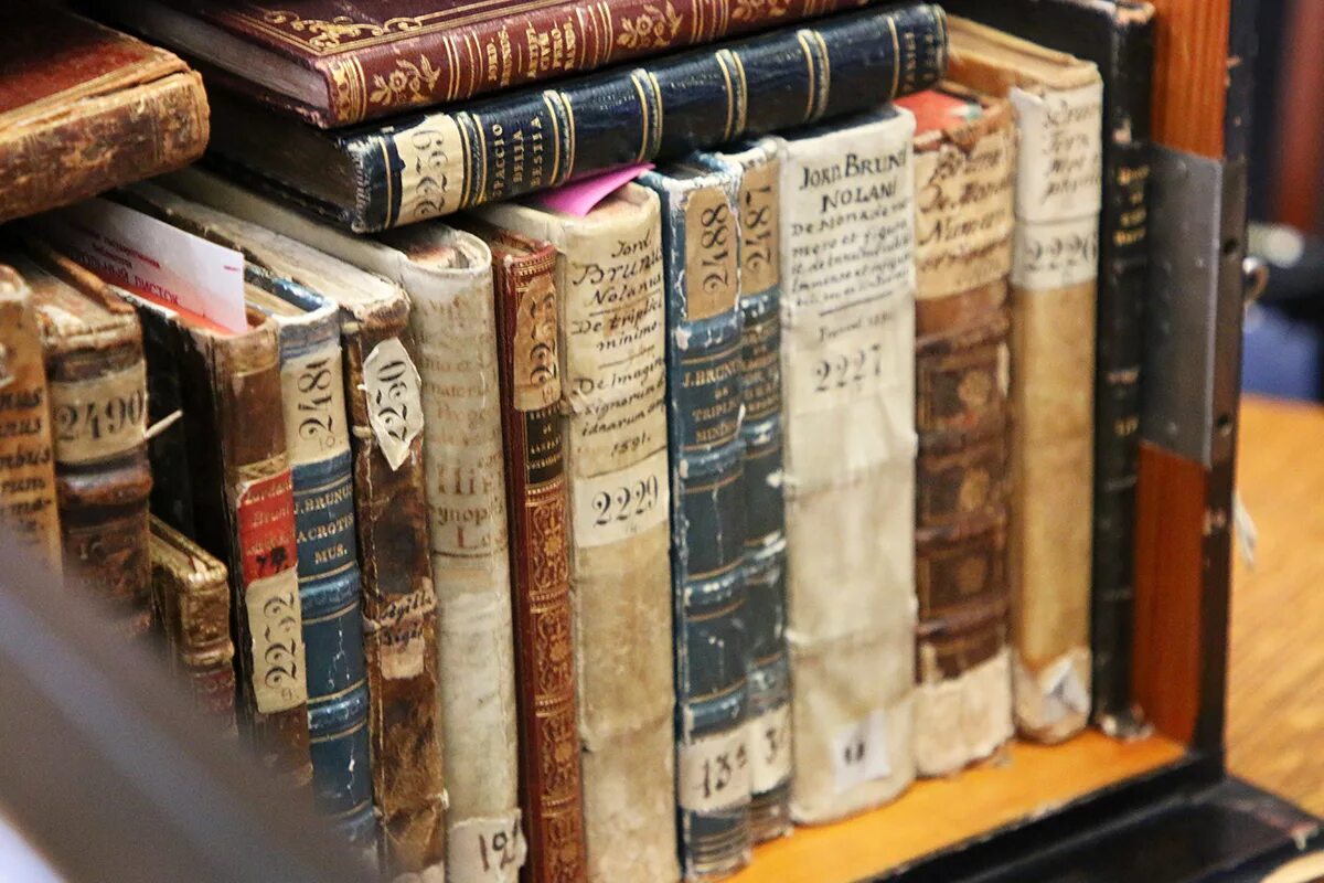 Библиотека редких изданий. Старая книга в музее. Коллекционирование книг. Старинные книги. Коллекция старых книг.
