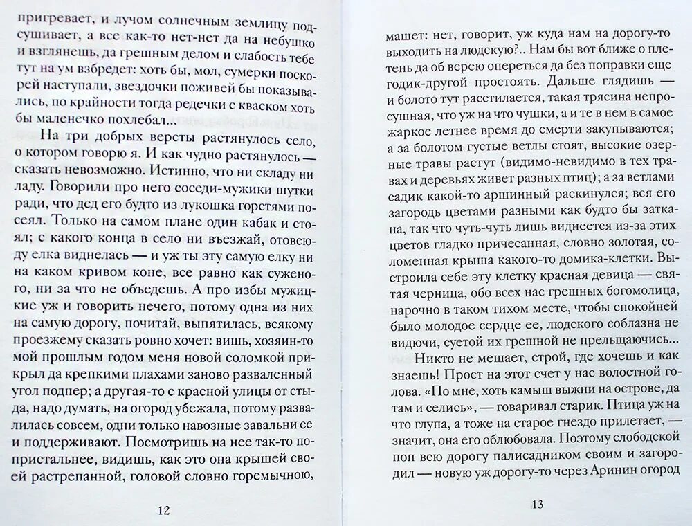 Песня светланы лазаревой богомолица. Слова песни Богомолица. Слова песни Богомолица текст. Мама Богомолица текст.