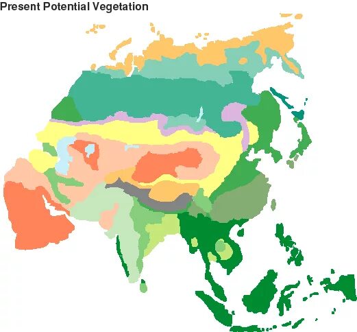 Карта природных зон Азии. Природные зоны Юго Восточной Азии. Карта природных зон Восточной Азии. Карта природных зон зарубежной Азии.