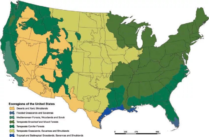 Климатические зоны США. Климатические зоны США карта. Зона США. Карта лесов США. Перечислите природные зоны сша