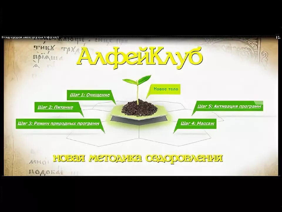 Методика алфей. Алфеич. Алфей (клеоп). Клуб винкс алфея. Методика алфей.