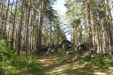 Екатеринбург лесной