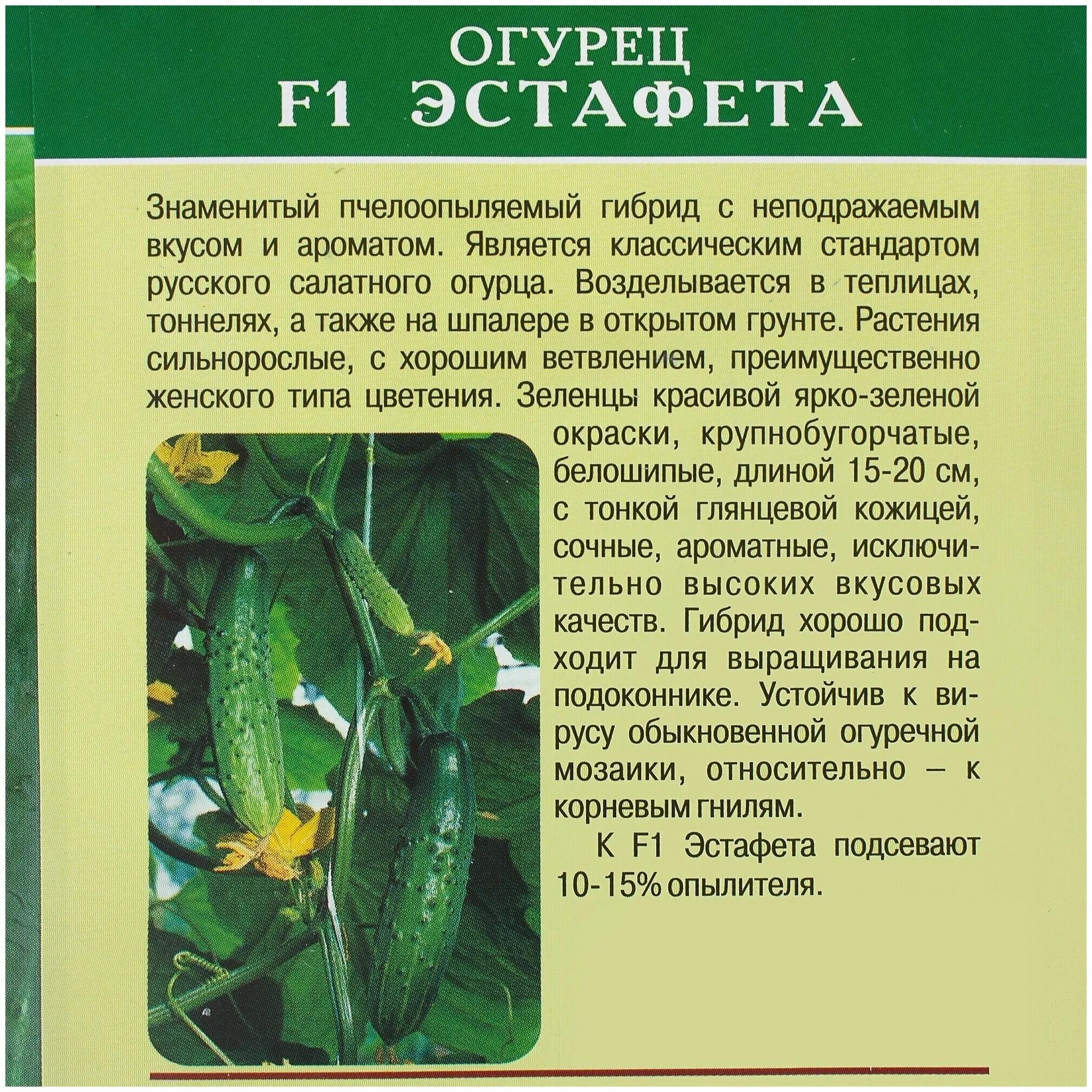 сорт огурцов эстафета описание. огурец эстафета манул. сорт огурцов эстафета описание. сорта огурцов эстафета. огурец эстафета f1 (манул) ц.