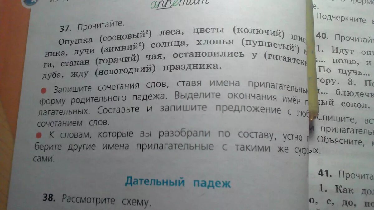 Слова со словом луч. Предложение со словосочетанием опушка соснового леса. Предложение со словом леса. Предложение со словом гора. Придумать предложение со словом гора.