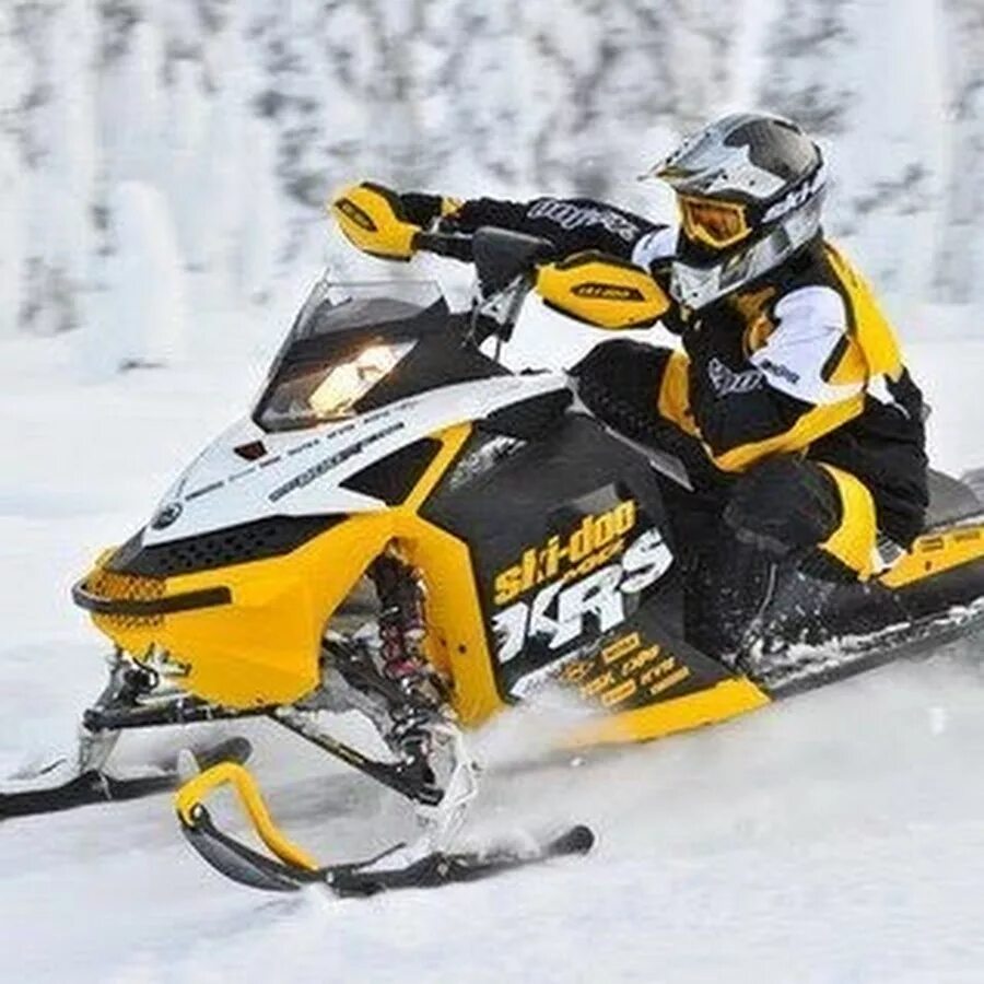 Ski-Doo 600 RS. Ski Doo MXZ 600. Ski Doo MXZ Renegade x 600 ho ETEC. Ski Doo MXZ 800.