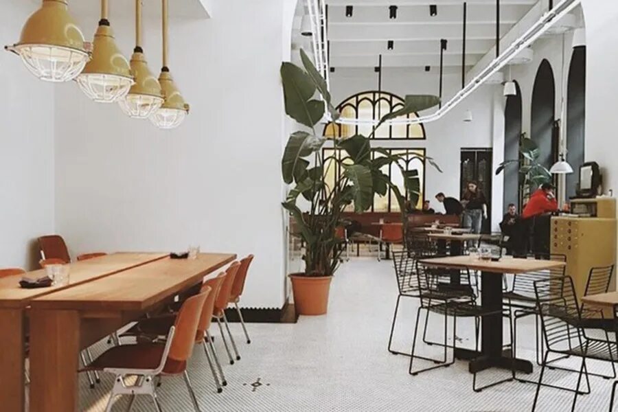 Tiger lily, санкт-петербург. Тайгер лили ресторан спб. Tiger lily ресторан. Tiger ресторан спб. Tiger lily ресторан.