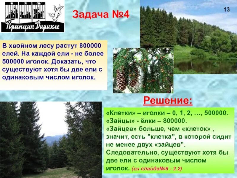 Что растет в хвойном лесу. В хвойном лесу растут ответ. Вопросы про еловый лес. Минусы елового леса. В еловых лесах произрастают