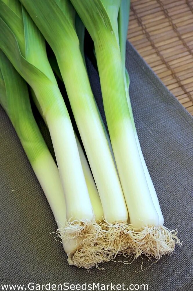 Leek лук шалот. Чеснок батун. Лук шалот зеленый. Лук шалот и лук порей. Лук на рынке.