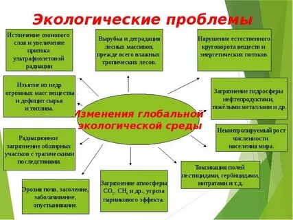 Экологические проблемы защита проекта