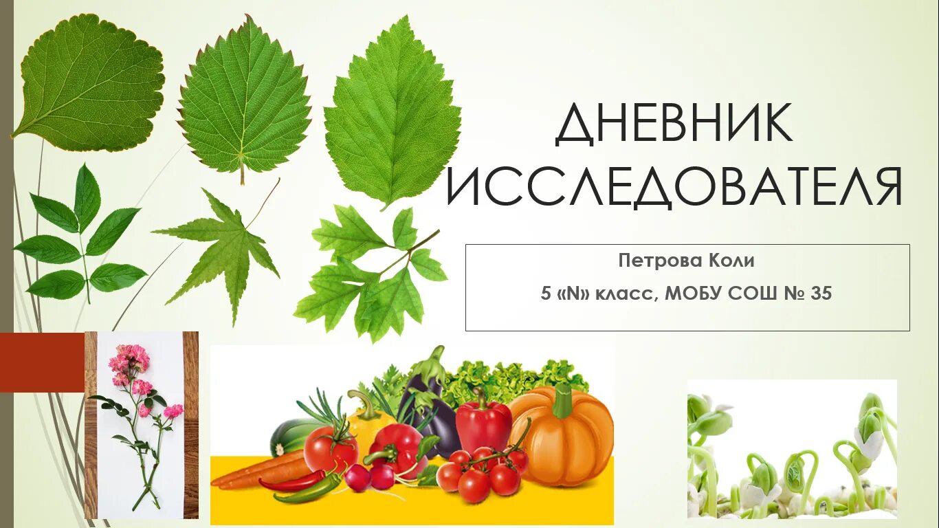 Исследователи лист