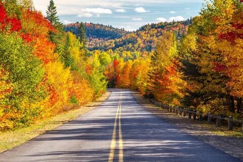 Fall but