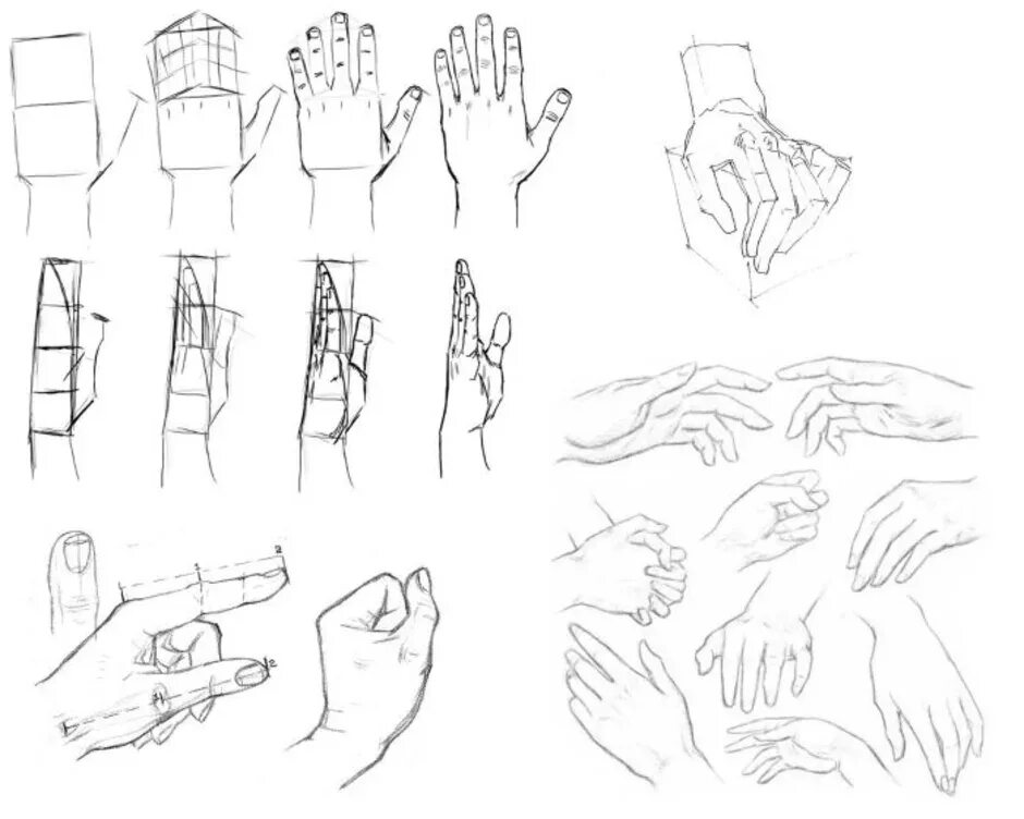 Зарисовки рук карандашом. Кисти рук для рисования. Наброски кистей рук. Этапы рисования рук.