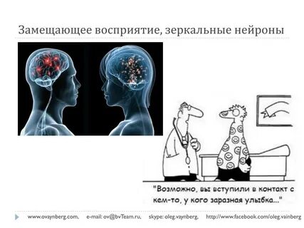 Зеркальная система