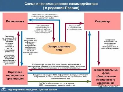 Проверка фомс
