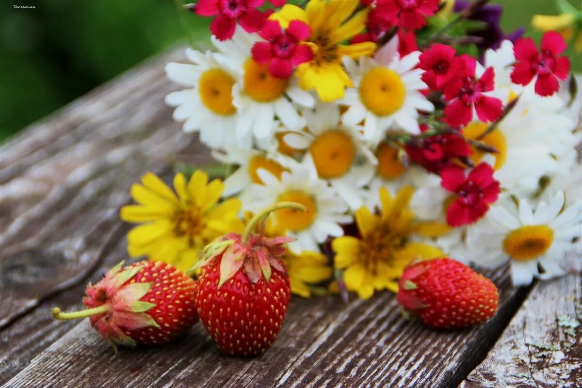 Яркого вкусного лета. Яркого вкусного лета. Красивые ягоды. Цветы и вкусняшки. Лето ягоды.