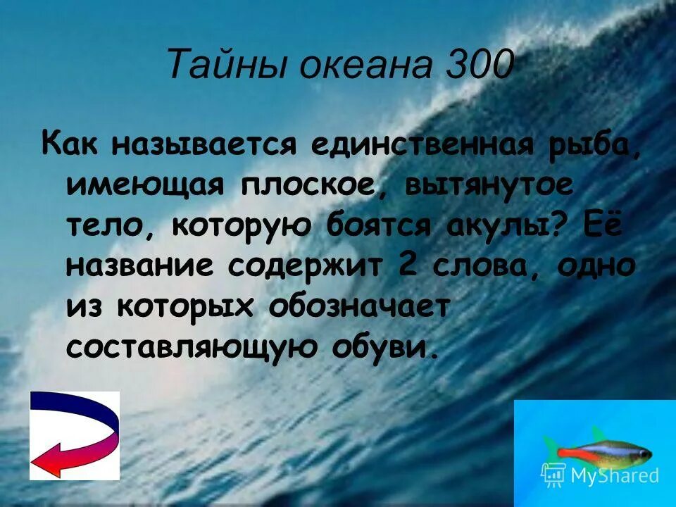 Загадка про океан. Презентация на тему тайна океанов. Сообщение тайны океанов. Тайна океана текст.