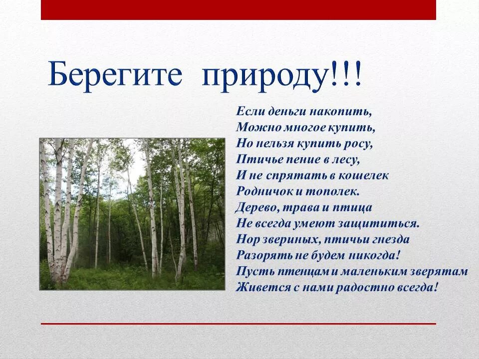 Предложение о защите природы. Сочинение на темусберегите рироду. Сочинение на тему берегите природу. Сочинение на тему береги природу. Текст на тему берегите природу.