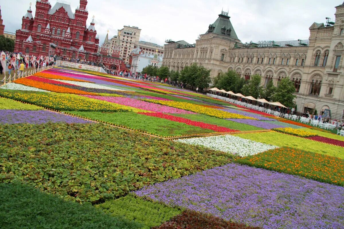 Красная площадь цветочный фестиваль. Выставка цветов в Москве на красной площади. Цветник на красной площади. Клумбы на площади. Цум цветы