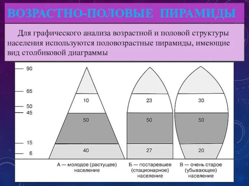 Типы демографических пирамид. Типы воспроизводства населения Половозрастная пирамида. Типы половозрастных пирамид. Возрастные пирамиды населения.