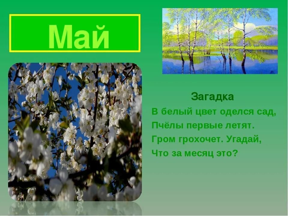 Загадки о весне для детей 4 лет. Загадки про май. Загадки про май месяц для детей. Загадки про весну про май. Загадки о мае.