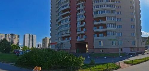 Парк на косыгина в спб. Косыгина 17 санкт-петербург. Косыгина 17 корпус 1. 1 жилой дом. Питер косыгина 17.