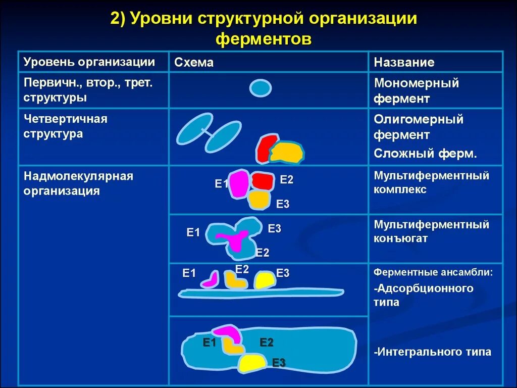 Универсальные ферменты. Уровни организации структуры ферментов мультиферментные комплексы. Уровни структурной организации ферментов. Надмолекулярный уровень организации фермента. Уровни организации ферментов первичная.