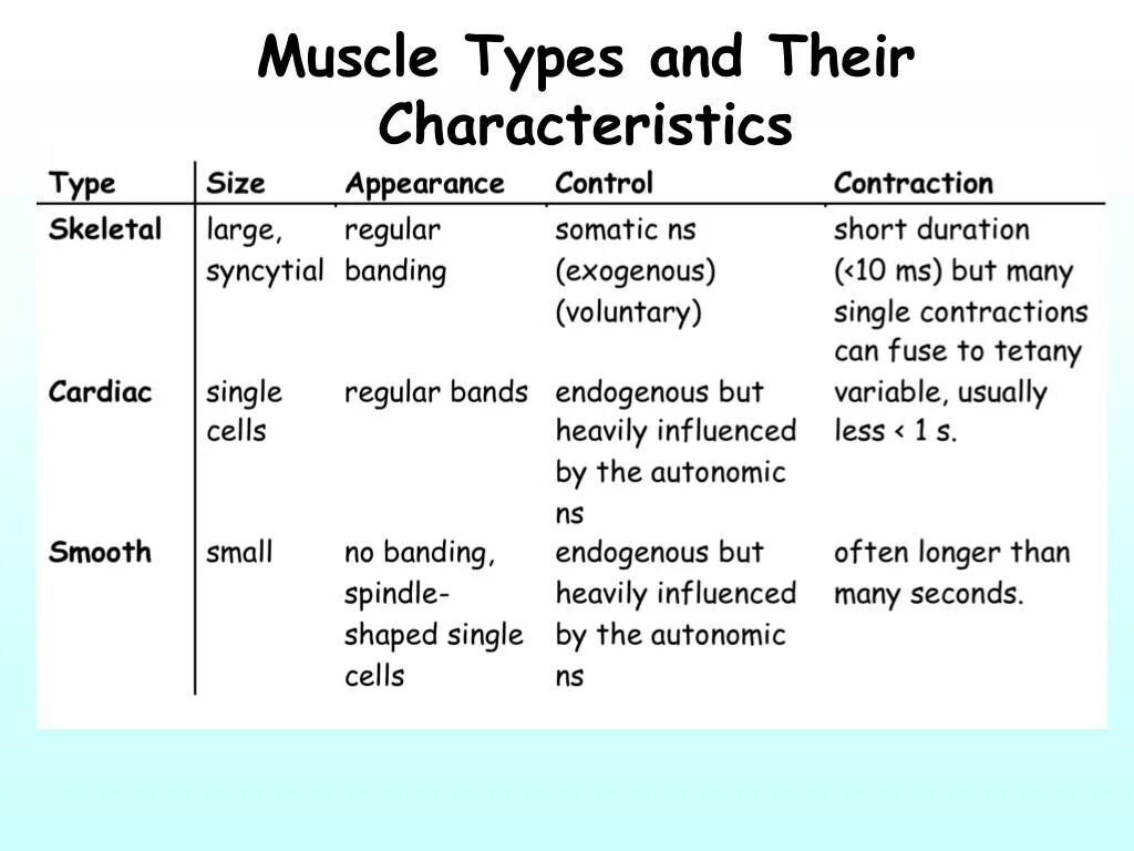 Types characteristics. Разница между characteristics и personal. Types of muscle skeletal smooth and Cardiac muscle таблица на русском. Match Modes of muscle contraction and their characteristics.