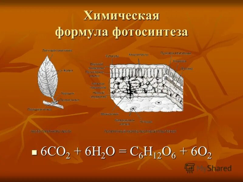 Co2 h2o фотосинтез. Химическая формула фотосинтеза 6 класс. Формула фотосинтеза у растений. Фотосинтез химическая реакция. Хим реакция фотосинтеза.