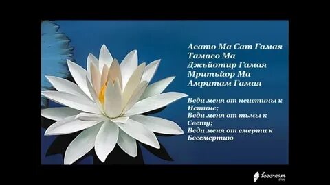 Сат гамая ом