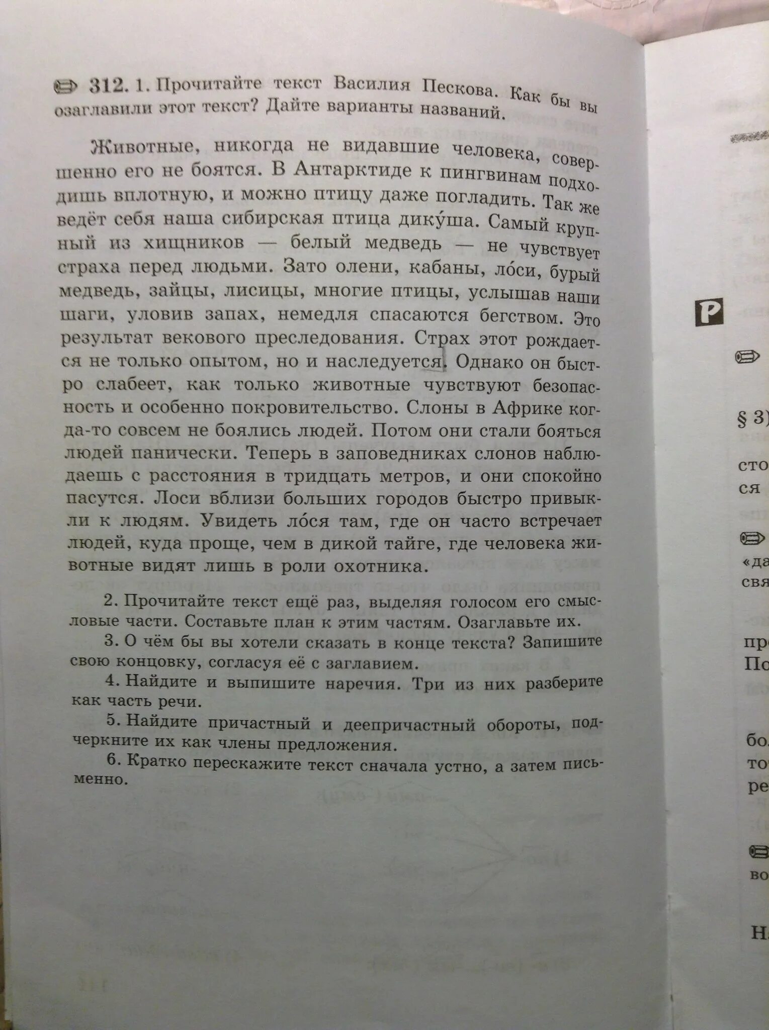 Сочинение по тексту пескова лишь совсем недавно. Сочинение по тексту пескова лишь совсем недавно