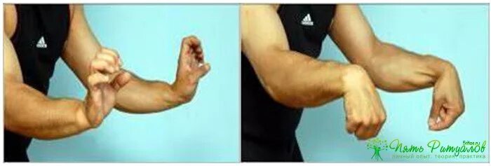 После тренировки руки не разгибаются в локтях. Разминка предплечий и кистей. Вращение кисти в лучезапястном суставе. Упражнения для кистевого сустава. Вращение кистей рук упражнение.