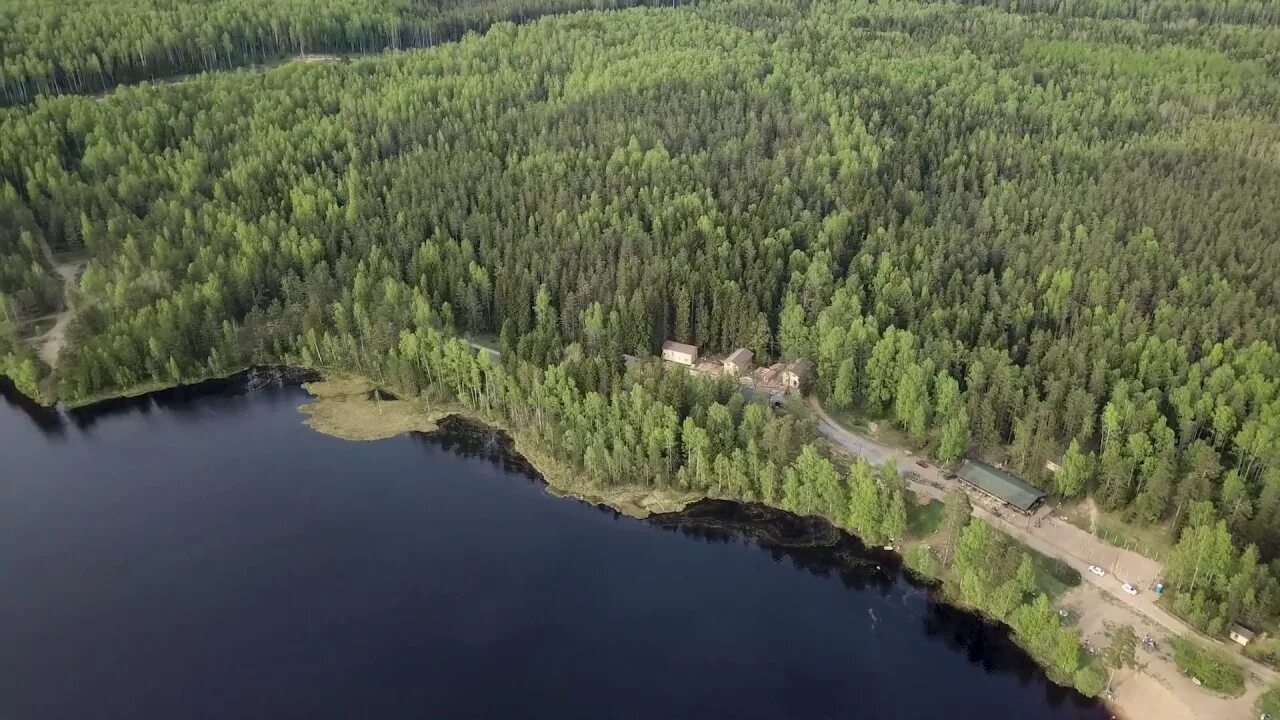 Белоостров пасторское озеро. Пасторское озеро база отдыха. Пасторское озеро фото. Озеро Лампиярви. Пасторское озеро ленинградская область