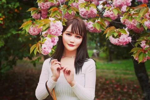 ❤︎ 𝘈𝘺𝘢 ❤︎ в Instagram: «散歩中🐕🐾 カンザンが綺麗でした🌸 #カンザン #花 #公園 #散歩 #桜 #cherry