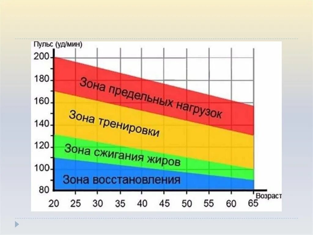 Время работы пульса. Зоны пульса. Тренировочные пульсовые зоны. Зоны интенсивности по пульсу. Зона пульса аэробная тренировка.